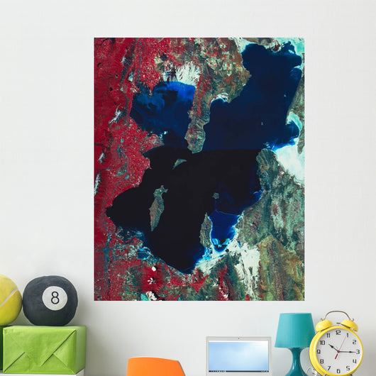 Satellite Image Great Salt Wall Decal