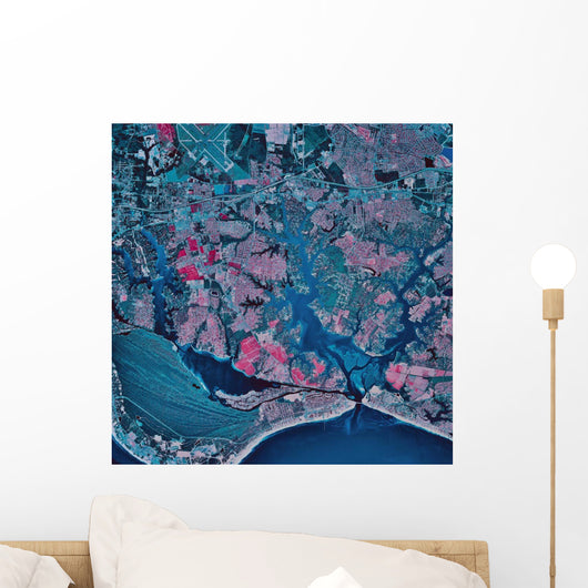Satellite Virginia Beach Virginia Wall Decal