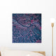 Satellite Charleston West Virginia Wall Decal
