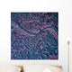 Satellite Charleston West Virginia Wall Decal
