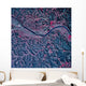 Satellite Charleston West Virginia Wall Decal