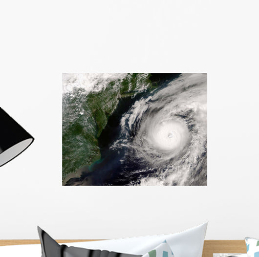 Hurricane Alex Wall Decal