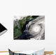 Hurricane Alex Wall Decal