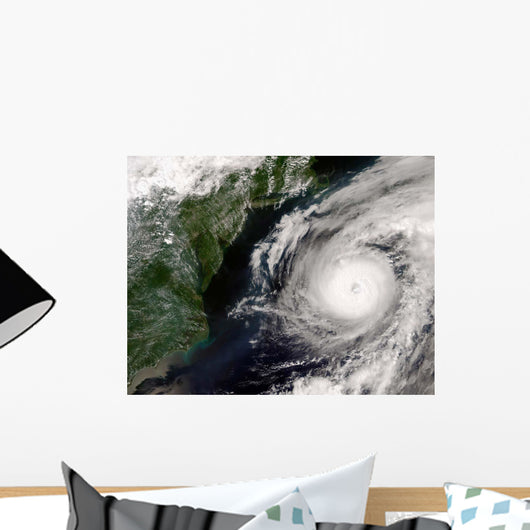 Hurricane Alex Wall Decal