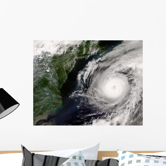 Hurricane Alex Wall Decal