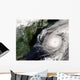 Hurricane Alex Wall Decal
