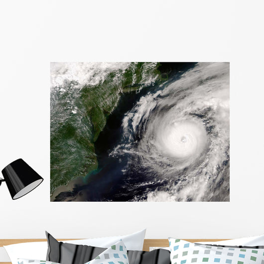 Hurricane Alex Wall Decal