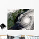Hurricane Alex Wall Decal