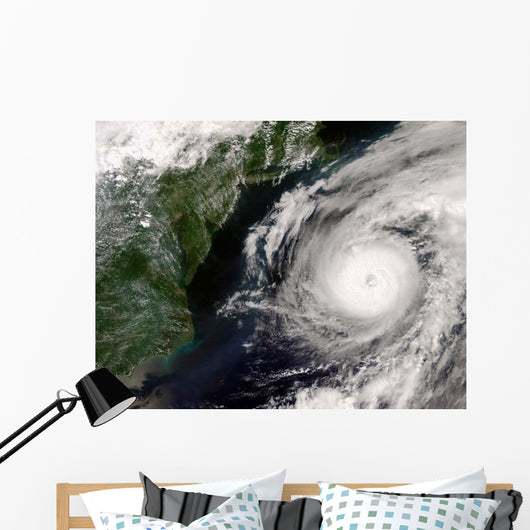 Hurricane Alex Wall Decal