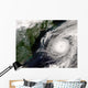 Hurricane Alex Wall Decal
