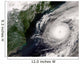 Hurricane Alex Wall Decal