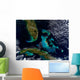 Satellite Bahamas Florida and Wall Decal