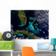 Satellite Bahamas Florida and Wall Decal