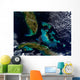 Satellite Bahamas Florida and Wall Decal