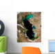 Satellite Caspian Sea Wall Decal
