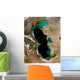 Satellite Caspian Sea Wall Decal