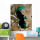 Satellite Caspian Sea Wall Decal