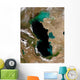 Satellite Caspian Sea Wall Decal