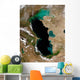 Satellite Caspian Sea Wall Decal