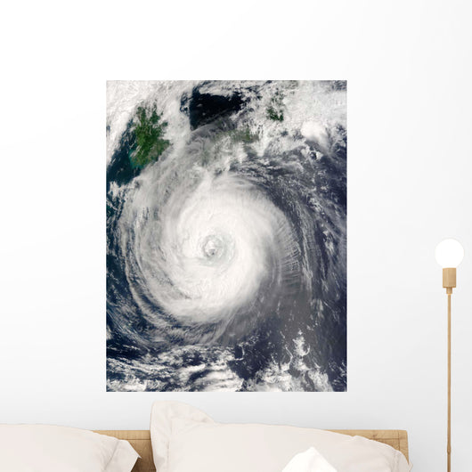 Typhoon Chaba Wall Decal