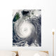 Typhoon Chaba Wall Decal
