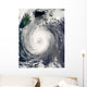 Typhoon Chaba Wall Decal