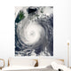 Typhoon Chaba Wall Decal
