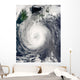 Typhoon Chaba Wall Decal