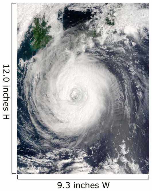 Typhoon Chaba Wall Decal