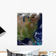 Satellite United States East Wall Decal Design 1
