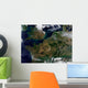Satellite Northwestern Europe Wall Decal
