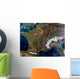 Satellite Western Europe Wall Decal