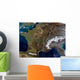 Satellite Western Europe Wall Decal