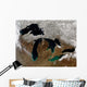 Satellite Great Lakes Wall Decal Design 3