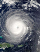 Hurricane Isabel Wall Decal Design 1