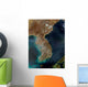 Satellite Korea Wall Decal