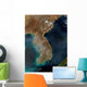 Satellite Korea Wall Decal