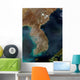 Satellite Korea Wall Decal