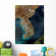 Satellite Korea Wall Decal
