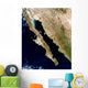 Satellite Gulf California Wall Decal