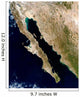 Satellite Gulf California Wall Decal