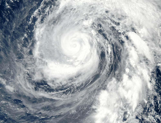 Typhoon Phanfone Wall Decal Design 1