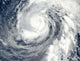 Typhoon Phanfone Wall Decal Design 1
