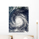 Typhoon Rusa Wall Decal Design 1