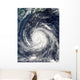 Typhoon Rusa Wall Decal Design 1