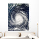 Typhoon Rusa Wall Decal Design 1