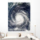 Typhoon Rusa Wall Decal Design 1
