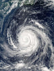 Typhoon Rusa Wall Decal Design 1