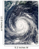 Typhoon Rusa Wall Decal Design 1