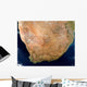 Satellite Southern Africa Wall Decal